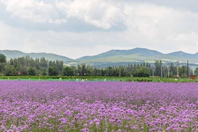 北方花都，可以考证的女神故里，它是“东北最前沿”的凌源