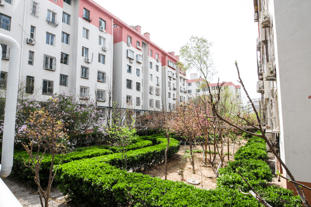济南有一小区，曾是当地人引以为傲的富人区，如今却成为出租屋